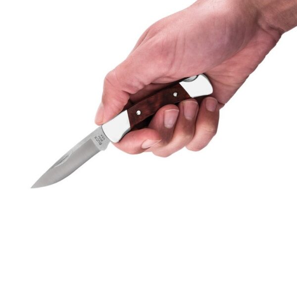 Buck 503 Prince Pocket Knife | Berings