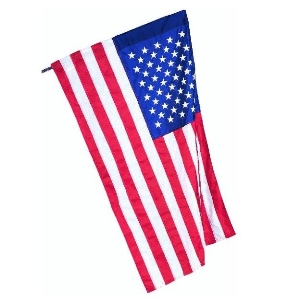 SLEEVED U.S. FLAG