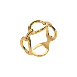 Gold Chain Link Napkin Ring