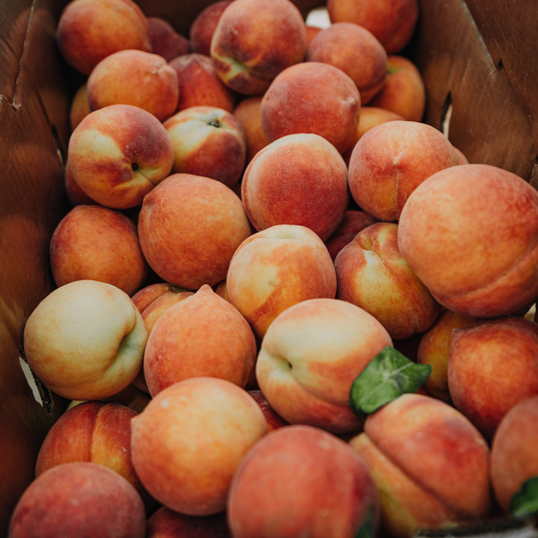 The Peach Truck Tour | Berings