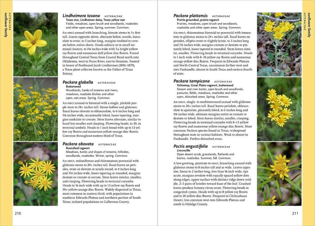 Wildflowers of Texas (A Timber Press Field Guide) | Berings