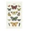 Cavallini & Co. Butterflies Cotton Tea Towel | Berings