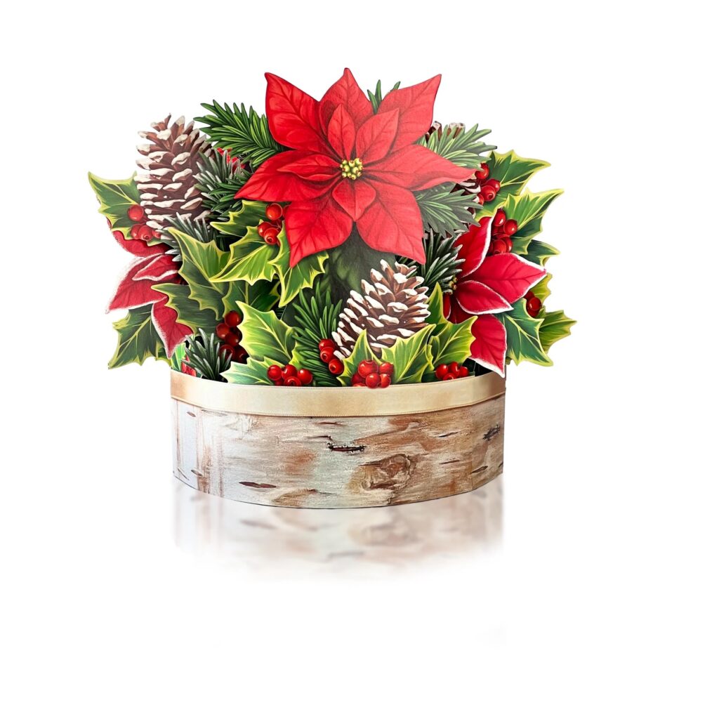 Birch Poinsettia Pop Up