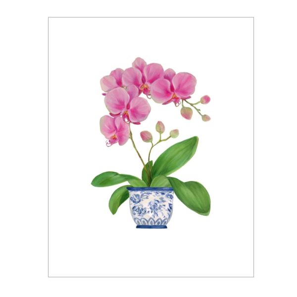 Caspari Potted Orchids Boxed Note Cards & Envelopes Berings