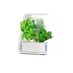 AeroGarden Sprout Grow System