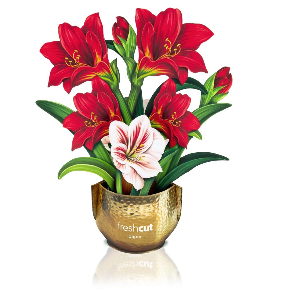 Paper Mini Mini Scarlet Amaryllis Bouquet