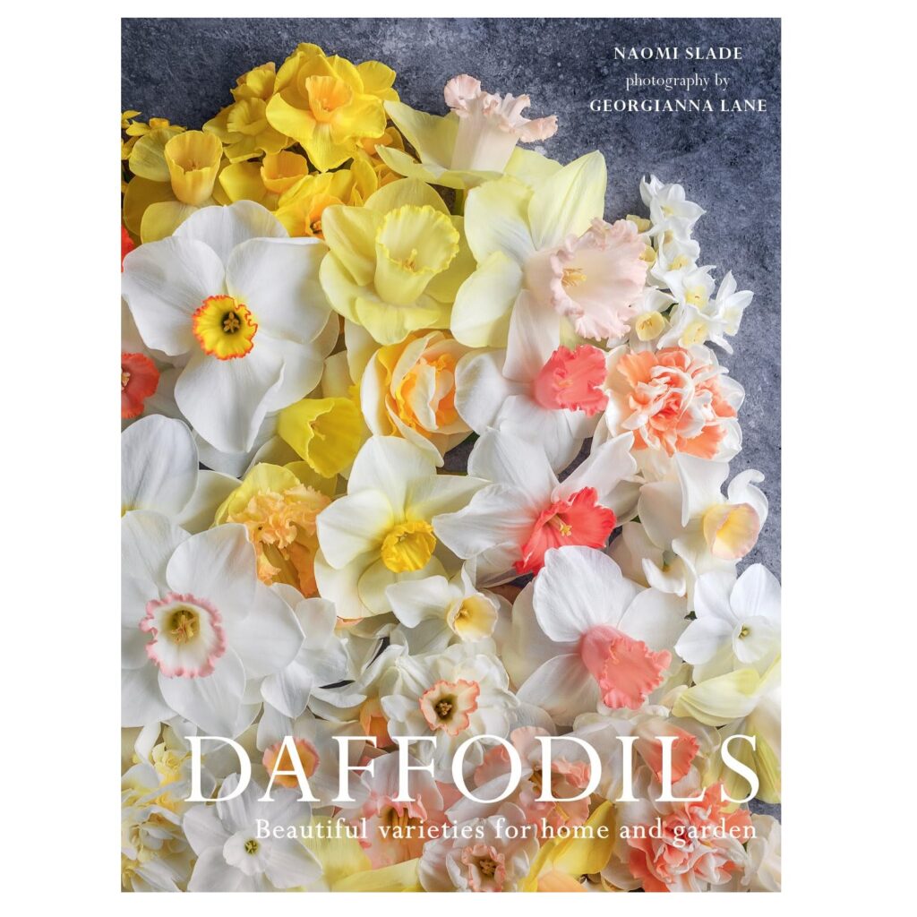 Daffodils: Beautiful Varieties for Home and Garden (Hardcover)